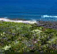 Ma'ukele Lodge - Tourism Bookings