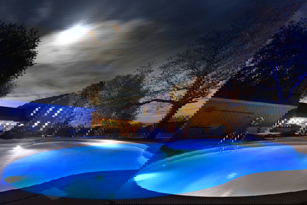 Netherfield Natural Farm - thumb 3