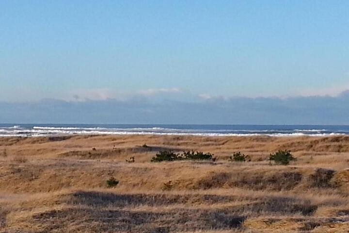 Lighthouse Oceanfront Resort - thumb 6