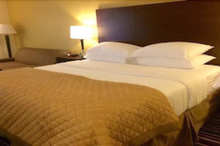 Wyndham Garden Charlotte Executive Park - thumb 5