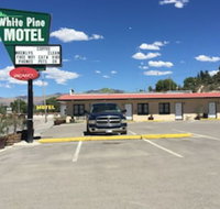 White Pine Motel - Tourism Bookings