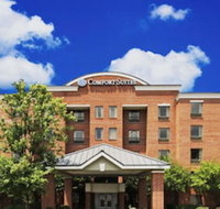 Comfort Suites Regency Park - China Accommodation