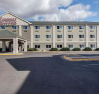 Comfort Suites University - Tourism Bookings