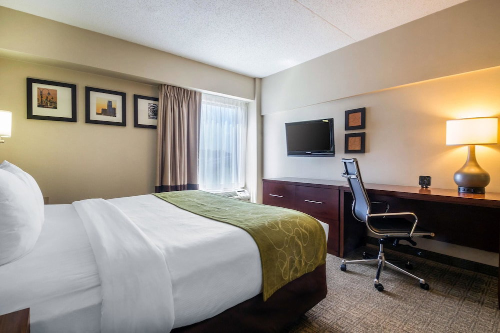 Comfort Suites At Woodbridge - thumb 6