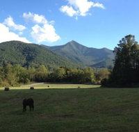 Pisgah View Ranch - USA Accommodation