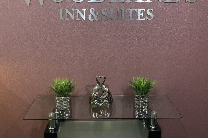 Woodlands Inn & Suites - thumb 2