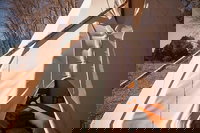 Taos Goji Farm  Eco-Lodge Retreat