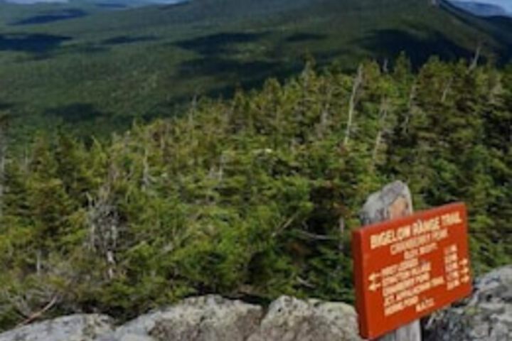 Spillover Motel And Inn - thumb 3