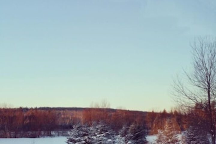 Spillover Motel And Inn - thumb 1