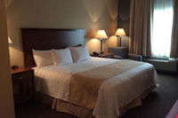 Albion Ne Tourism Bookings