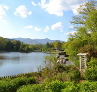 Arbor House of Black Mountain - Tourism Bookings