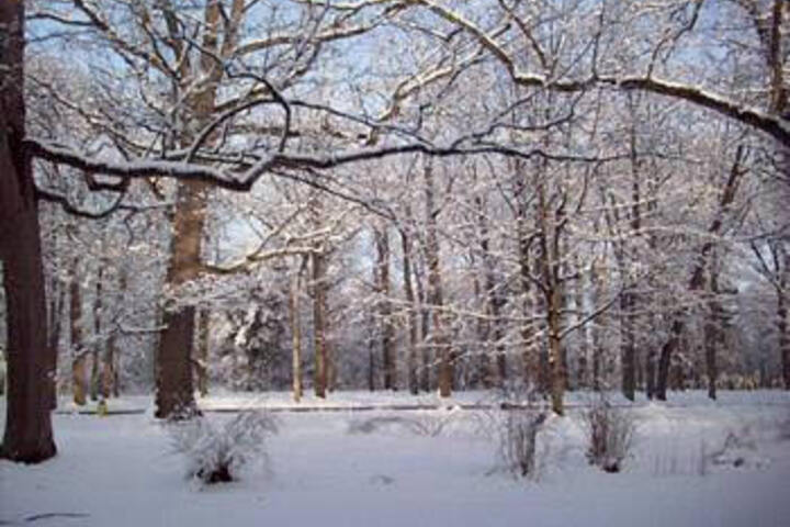 Temple Hill Bed & Breakfast - thumb 3