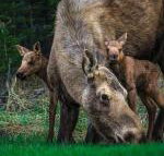 Kings Haven Lodge - Tourism Bookings