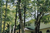 White Birch Inn