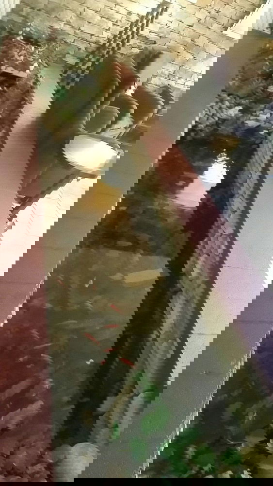 Athens Lodge - thumb 3