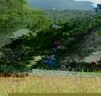 1824 House - Tourism Bookings