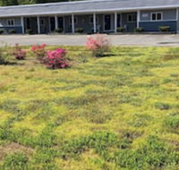 Rosewood Motel - Tourism Bookings