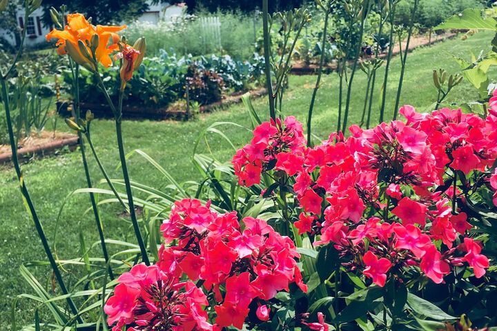 Quill Haven Country Inn - thumb 1