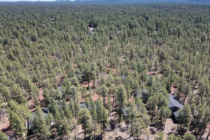 Buck Springs Resort - thumb 5