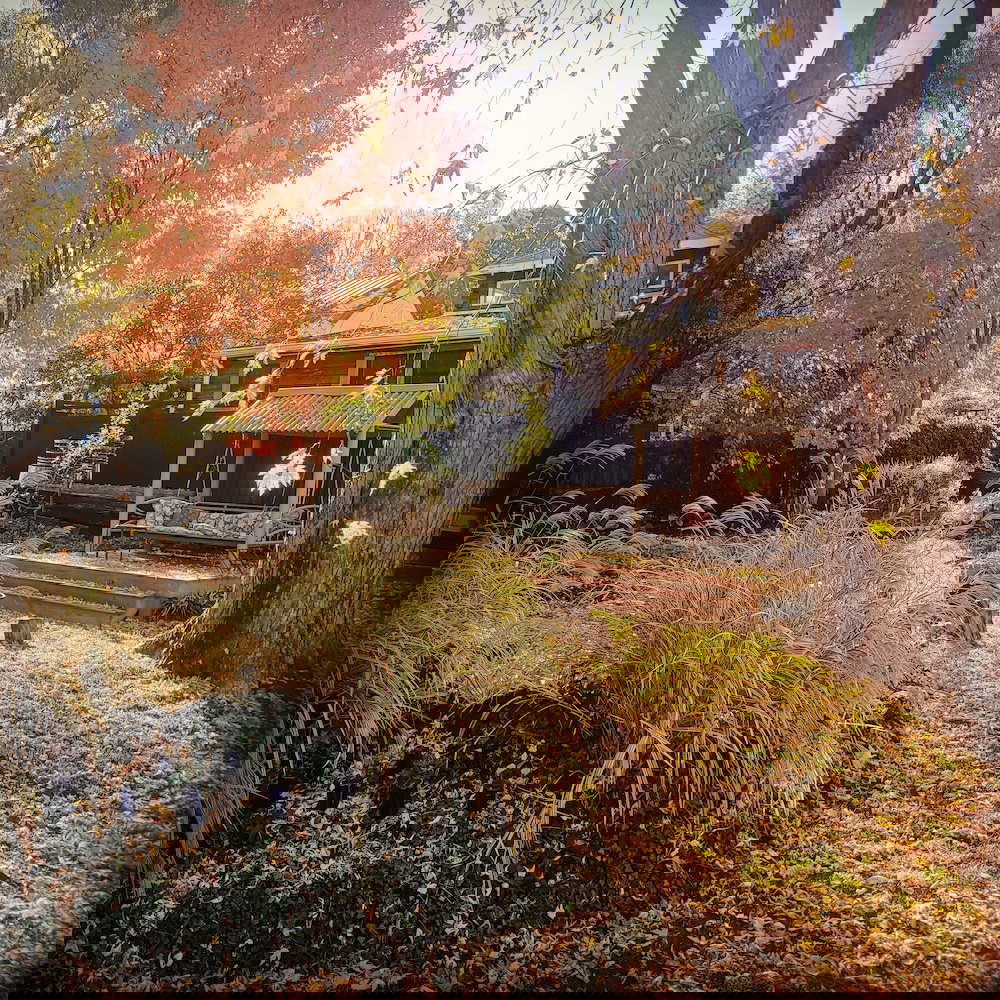 Lily Garden Bed And Breakfast - thumb 5