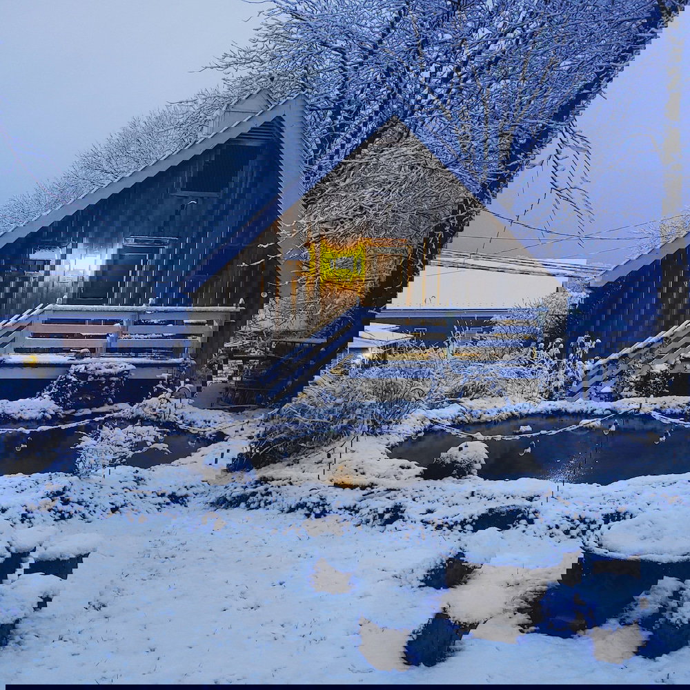 Lily Garden Bed And Breakfast - thumb 1