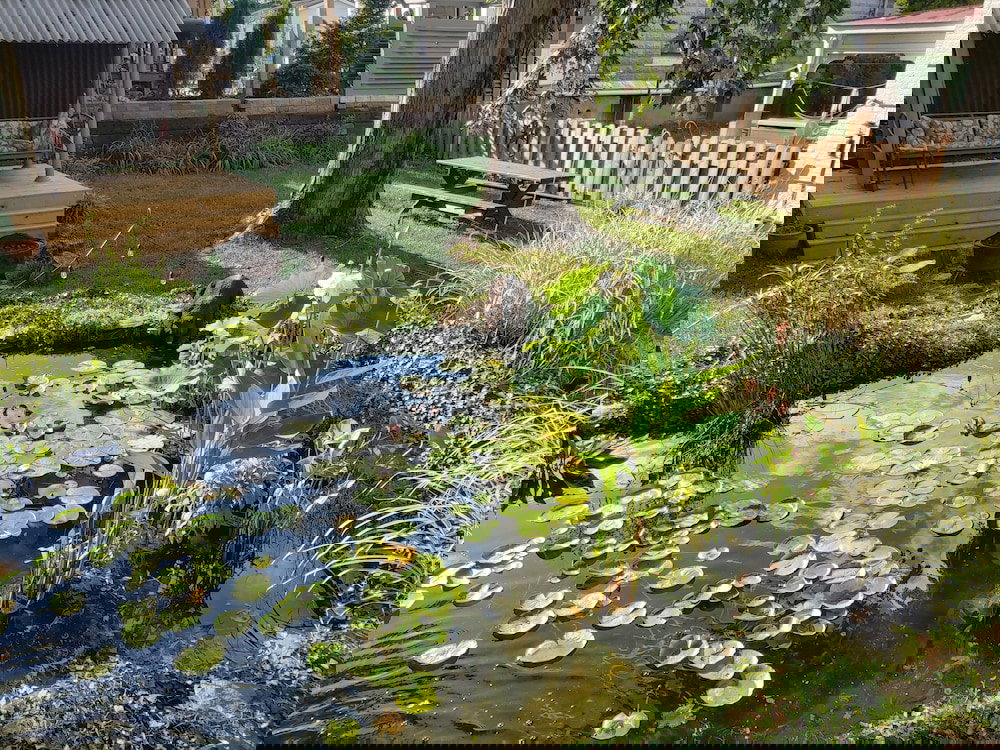 Lily Garden Bed And Breakfast - thumb 3