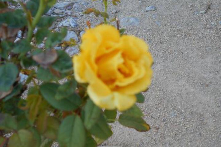 The Atomic Inn - thumb 2