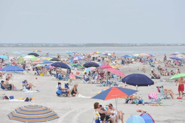 The Blue Marlin Resort - thumb 6