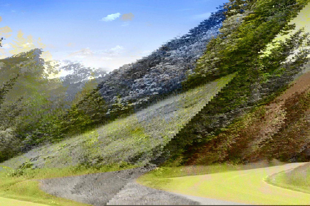 Super 8 By Wyndham Port Angeles At Olympic National Park - thumb 2