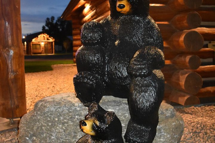 Kodiak Mountain Resort - thumb 4