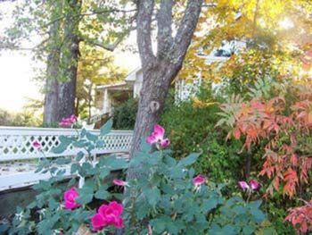 Wildflowers Farm Bed & Breakfast - thumb 6