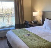 Comfort Inn - USA Accommodation