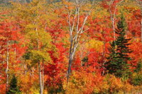 Book Cities Accommodation Vacations, Tourism Bookings Tourism Bookings