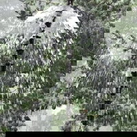 East Hampton Art House Bed  Breakfast