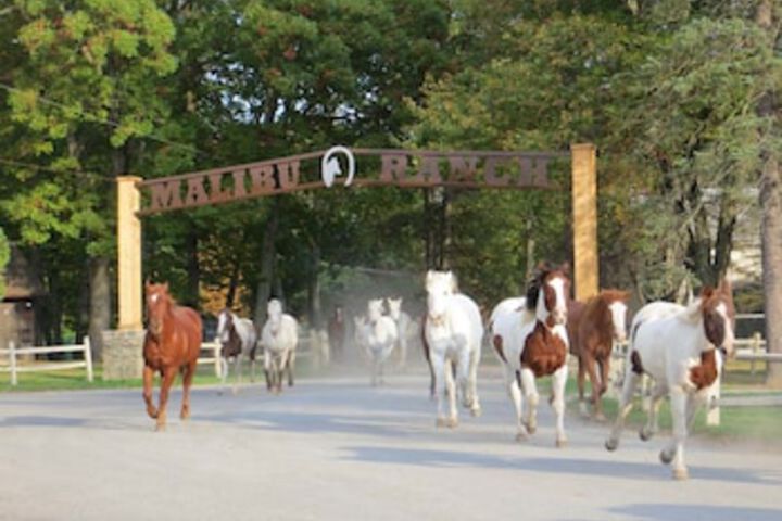 Malibu Dude Ranch - thumb 0