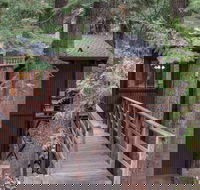 Rustic Modern Cabin in the Pines by RedAwning - Tourism Bookings