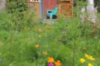 Dave Fish Alaska Lodging