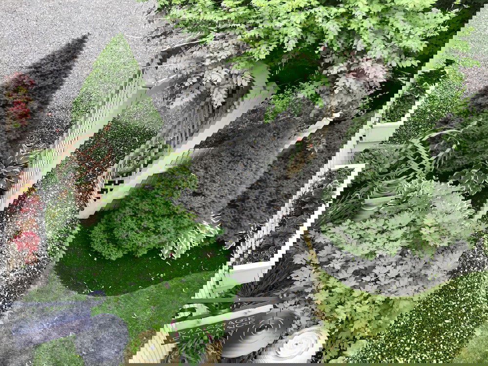 Dragonfly Guest House - thumb 0