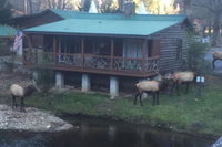 Qualla Motel  Cabins