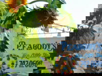 Peabodys Hip Little Stay