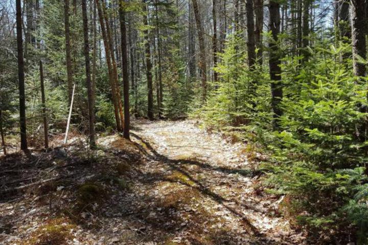 Spellbound Farm - thumb 4