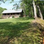 Climbing Bear Creekside Cabin