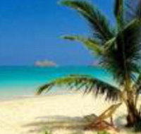 Brand New Kailua Beach - USA Accommodation