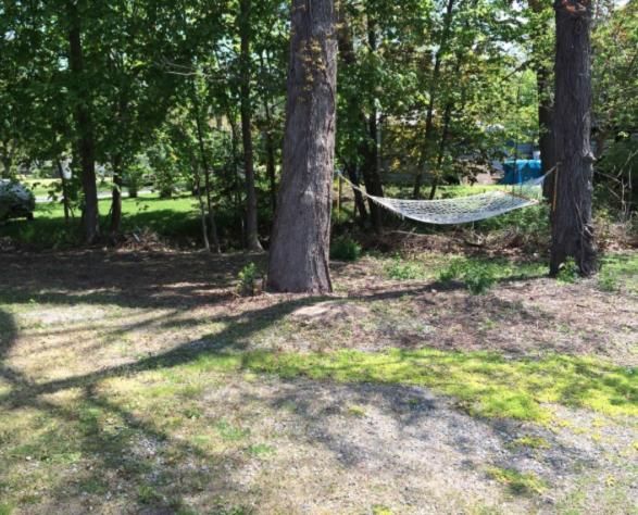 Walking Distance To Beach & Shops - thumb 4