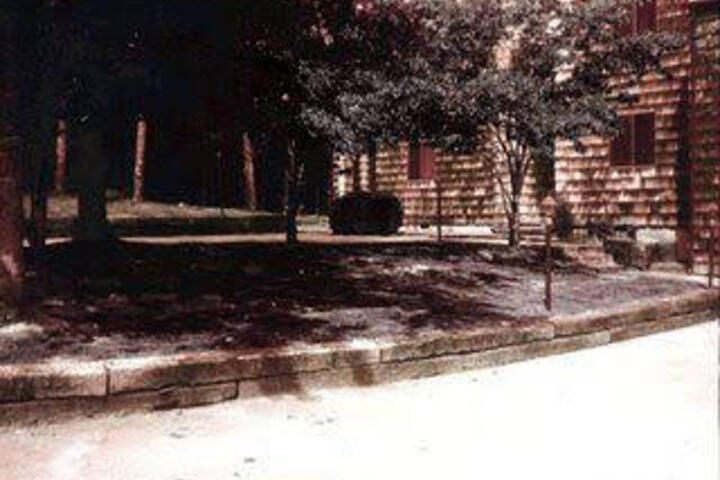 East Pines At Alpine Bay - thumb 2