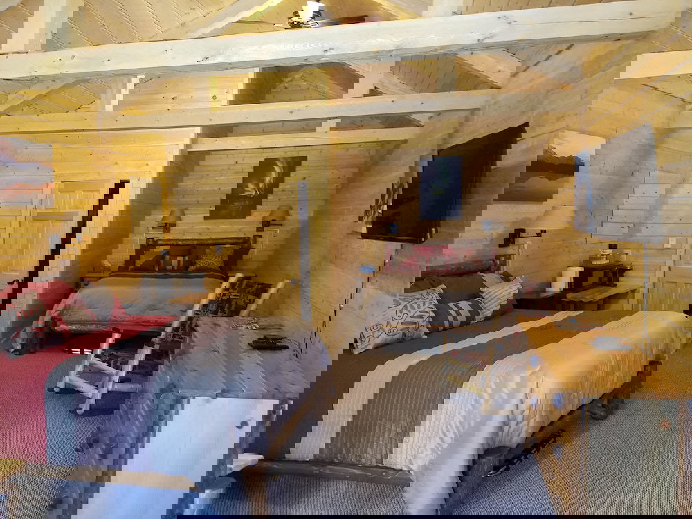 Denali Tri-Valley Cabins - thumb 5