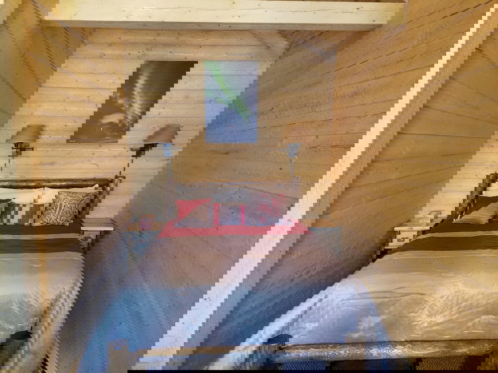 Denali Tri-Valley Cabins - thumb 4