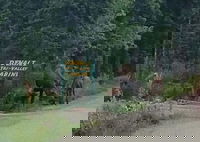 Denali Tri-Valley Cabins