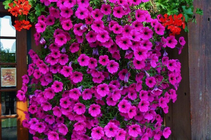 Mountain Lake Lodge - thumb 1