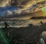 Hale H H - Tourism Bookings